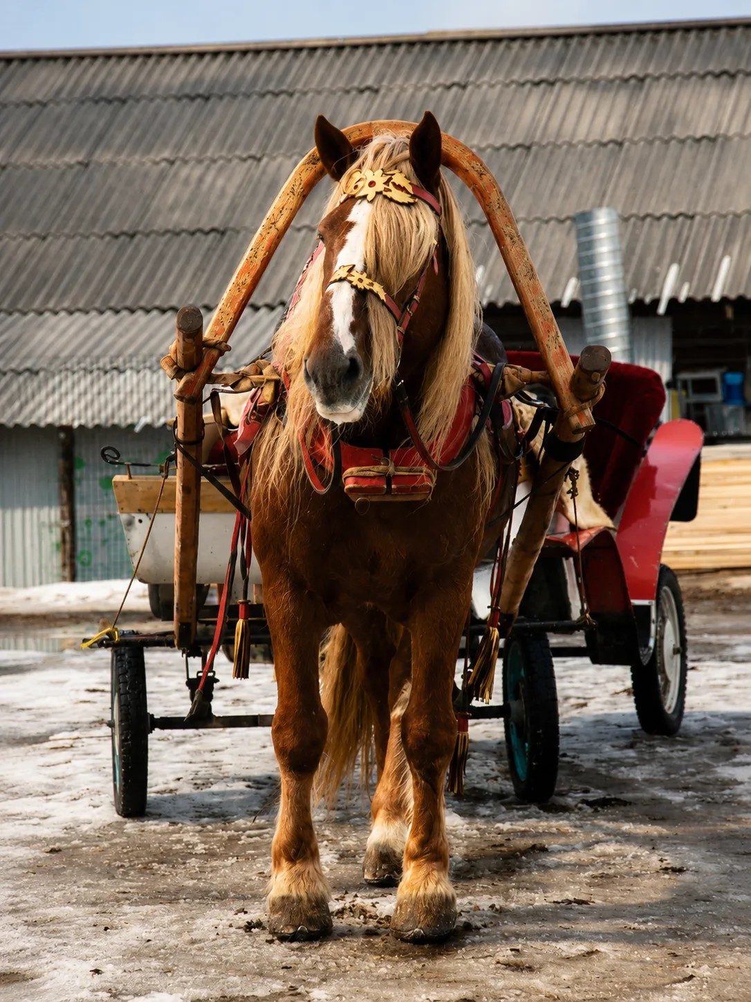 Фото программы 3