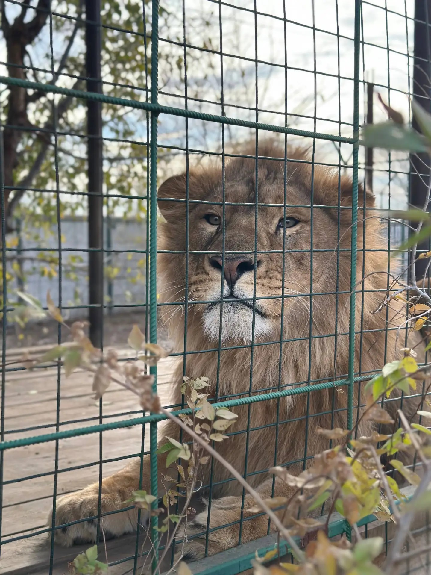 Фото программы 5